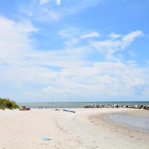 Photo #42 of 3 NELLIE STEVENS CT, CAPE CHARLES, VA 8.0 acres