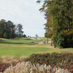 Photo #49 of 3 NELLIE STEVENS CT, CAPE CHARLES, VA 8.0 acres