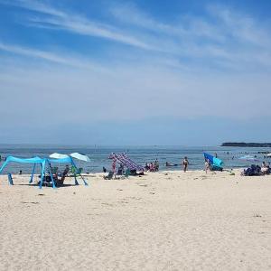 Photo #55 of 3 NELLIE STEVENS CT, CAPE CHARLES, VA 8.0 acres
