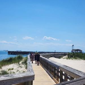 Photo #57 of 3 NELLIE STEVENS CT, CAPE CHARLES, VA 8.0 acres