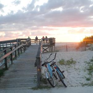 Photo #58 of 3 NELLIE STEVENS CT, CAPE CHARLES, VA 8.0 acres