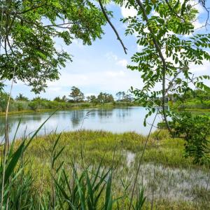 Photo #32 of 8145 SEASHELL DR, CHINCOTEAGUE, VA 0.1 acres