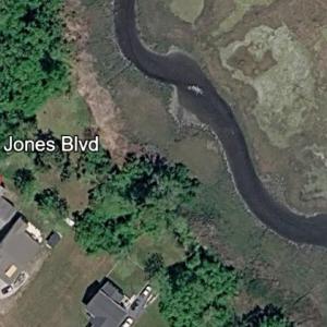 Photo #34 of 38069 DAVEY JONES BLVD, GREENBACKVILLE, VA 0.2 acres