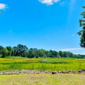 Photo #6 of 38069 DAVEY JONES BLVD, GREENBACKVILLE, VA 0.2 acres