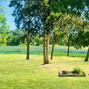Photo #8 of 38069 DAVEY JONES BLVD, GREENBACKVILLE, VA 0.2 acres