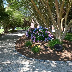 Driveway Entrance