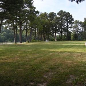 Open yard on the shoreline (N view)