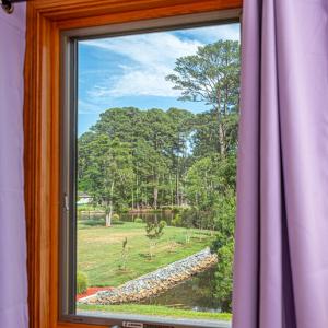 Primary bed view