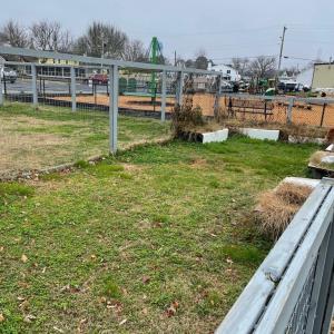 Photo #18 of 4210 SCHOOL ST, CHINCOTEAGUE, VA 0.2 acres