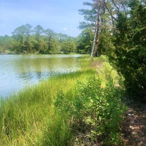 Photo #12 of 30516 BACK CREEK RD, HACKSNECK, VA 1.1 acres