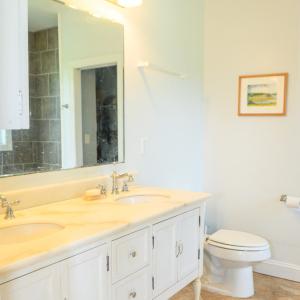 Primary Bath, Double Vanity, Separate Shower and Soaking Tub