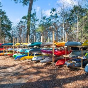 Photo #52 of 11 PALMER'S LND, CAPE CHARLES, VA 20.0 acres