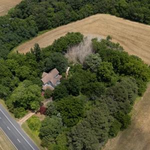 Photo #4 of 13361 LANKFORD HWY, MACHIPONGO, VA 1.6 acres