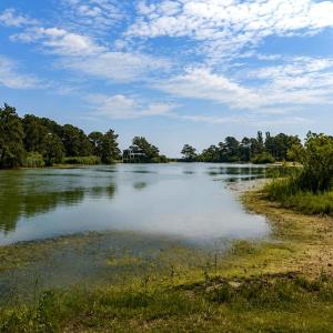 Photo #48 of 5290 LAKEVIEW RD, CHINCOTEAGUE, VA 0.3 acres