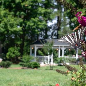 Photo #12 of 34000 SEASIDE RD, PAINTER, VA 5.8 acres