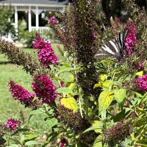 Photo #23 of 34000 SEASIDE RD, PAINTER, VA 5.8 acres