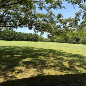 Photo #37 of 34000 SEASIDE RD, PAINTER, VA 5.8 acres