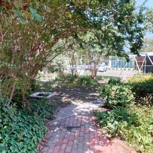 Side garden area