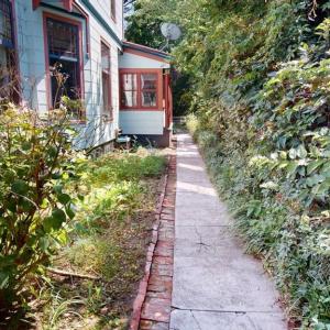 Pathway to the back and side yard