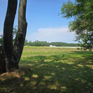 Photo #2 of 25421 DRUMMONDTOWN RD, DAUGHERTY, VA 0.3 acres