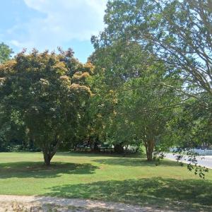 Photo #11 of 24033 DRUMMONDTOWN RD, ACCOMAC, VA 0.5 acres