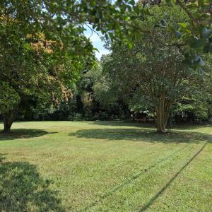 Photo #12 of 24033 DRUMMONDTOWN RD, ACCOMAC, VA 0.5 acres