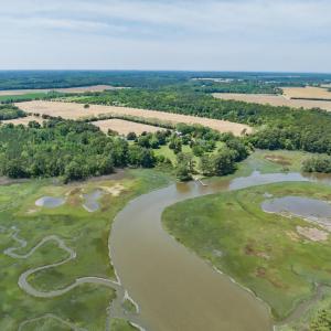 Photo #60 of 13485 WHARTON DR, HALLWOOD, VA 100.4 acres