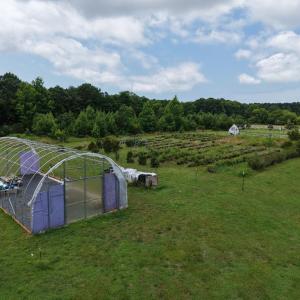Photo #76 of 18140 PLANTATION RD, ONANCOCK, VA 5.7 acres