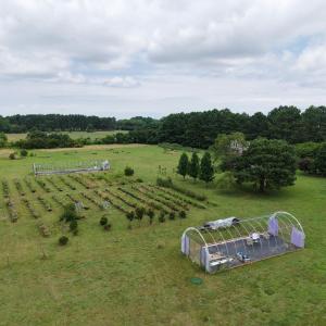 Photo #77 of 18140 PLANTATION RD, ONANCOCK, VA 5.7 acres