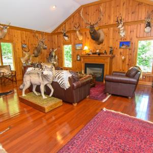 Den view 2