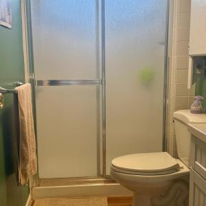 Photo #11 of 2410 RIDGE RD, CHINCOTEAGUE, VA 75.0 acres