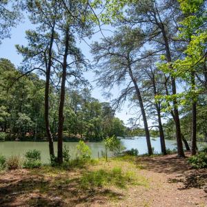 Photo #11 of 11373 SPOONBILL LN, MACHIPONGO, VA 0.8 acres