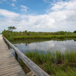 Photo #53 of 11373 SPOONBILL LN, MACHIPONGO, VA 0.8 acres