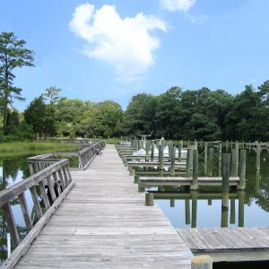 Photo #43 of 22373 PLUM TREE RD, CAPE CHARLES, VA 0.5 acres