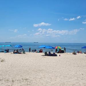 Photo #47 of 22373 PLUM TREE RD, CAPE CHARLES, VA 0.5 acres
