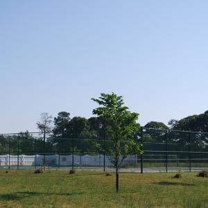 Photo #45 of 22373 PLUM TREE RD, CAPE CHARLES, VA 0.5 acres