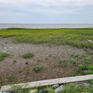 Photo #6 of 17090 BAYVIEW CIRCLE, QUINBY, VA 0.3 acres