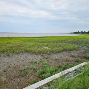 Photo #8 of 17090 BAYVIEW CIRCLE, QUINBY, VA 0.3 acres