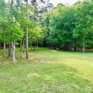 Rear yard.