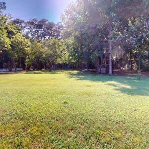 Rear yard.