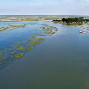 Photo #73 of 25359 ATLANTIC ST, ACCOMAC, VA 3.0 acres