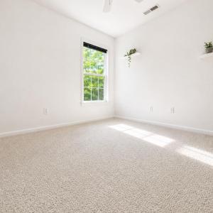 Photo #17 of 37303 DAVEY JONES BLVD, GREENBACKVILLE, VA 0.4 acres