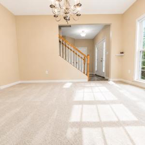 Photo #6 of 37303 DAVEY JONES BLVD, GREENBACKVILLE, VA 0.4 acres