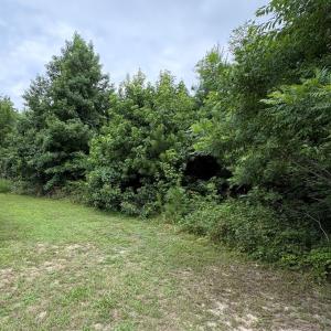 Photo #7 of 7079 CHESTNUT LANE, CHINCOTEAGUE, VA 0.3 acres