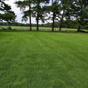Photo #11 of 27251 MUTTON HUNK ROAD, PARKSLEY, VA 1.2 acres
