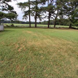 Photo #18 of 27251 MUTTON HUNK ROAD, PARKSLEY, VA 1.2 acres