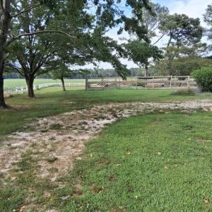 Photo #21 of 27251 MUTTON HUNK ROAD, PARKSLEY, VA 1.2 acres