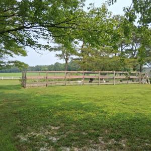 Photo #22 of 27251 MUTTON HUNK ROAD, PARKSLEY, VA 1.2 acres