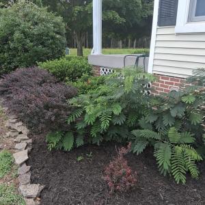 Photo #66 of 27251 MUTTON HUNK ROAD, PARKSLEY, VA 1.2 acres