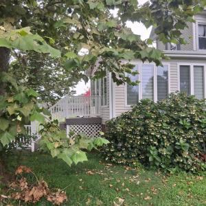 Photo #67 of 27251 MUTTON HUNK ROAD, PARKSLEY, VA 1.2 acres